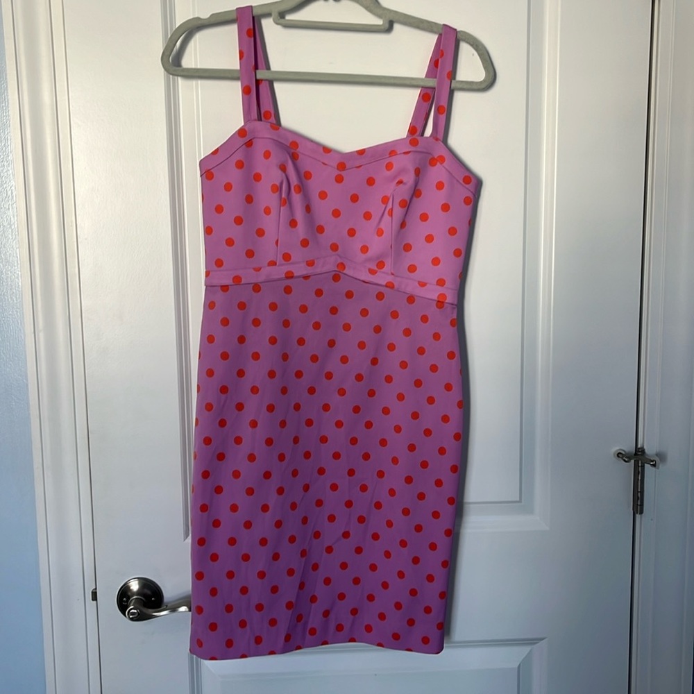 J Crew Polka Dot Dress